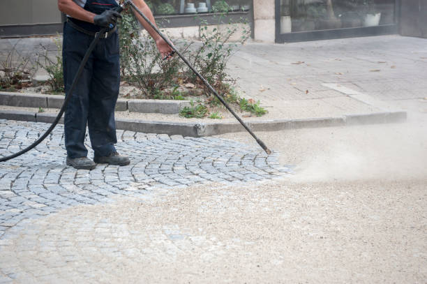 Animal Enclosure Cleaning in Holiday Shores, IL